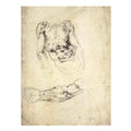 Upper Body of a Sitting Man and Study of a Right Arm (recto) By Michelangelo Buonarroti
