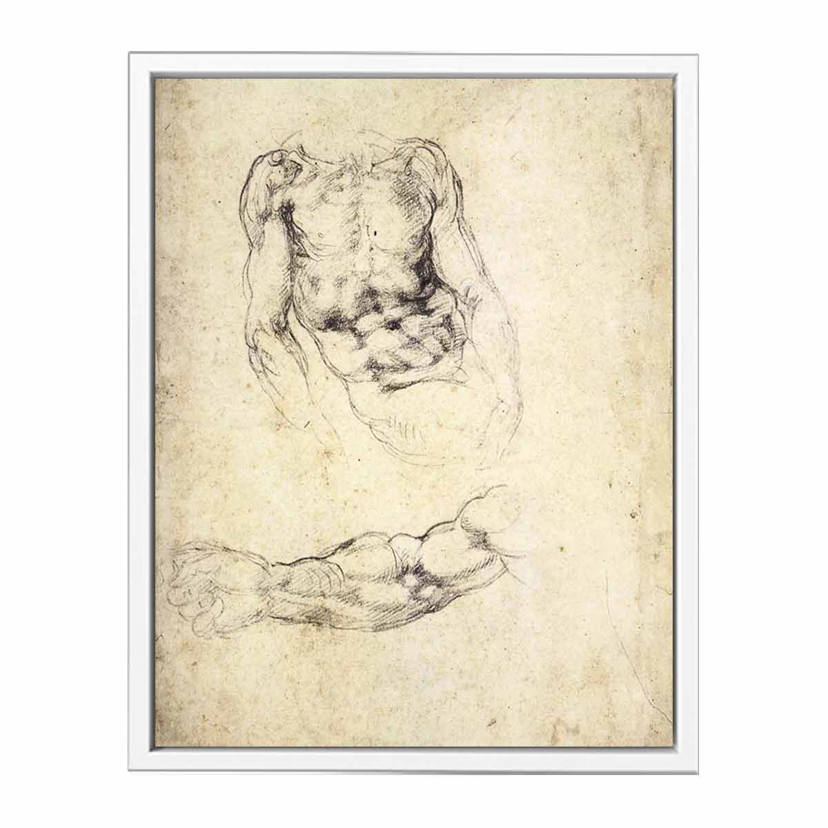 Upper Body of a Sitting Man and Study of a Right Arm (recto) By Michelangelo Buonarroti