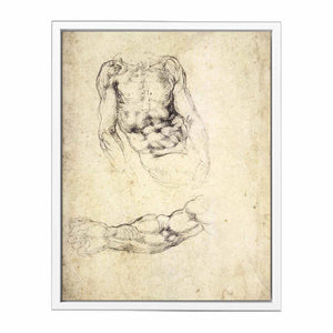 Upper Body of a Sitting Man and Study of a Right Arm (recto)