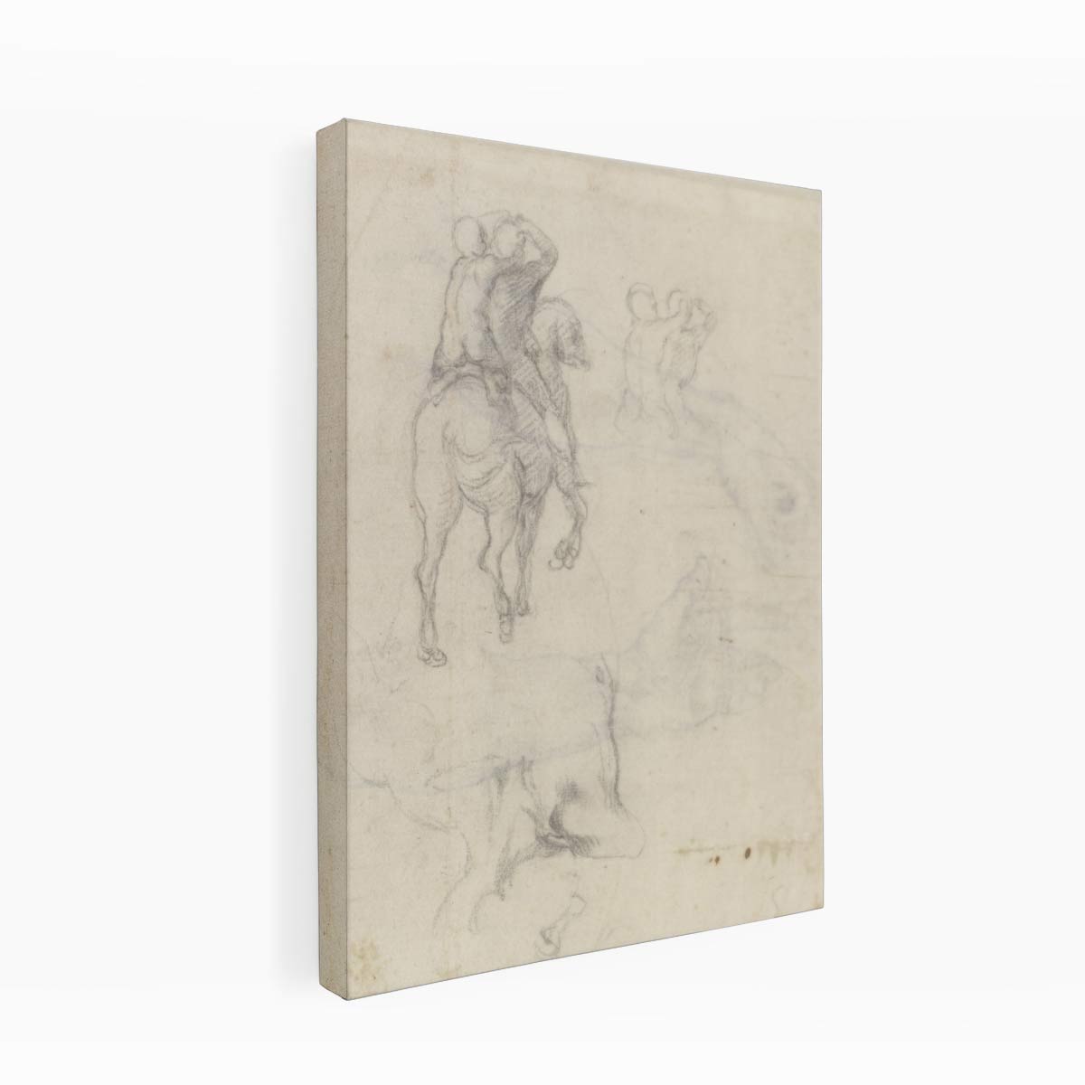Studies of a Horse with Two Nude Riders and a Male Torso By Michelangelo Buonarroti