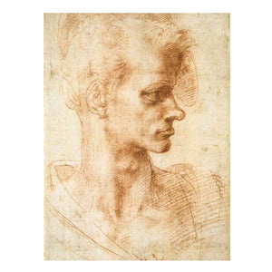 Bust of a Young Man (recto)