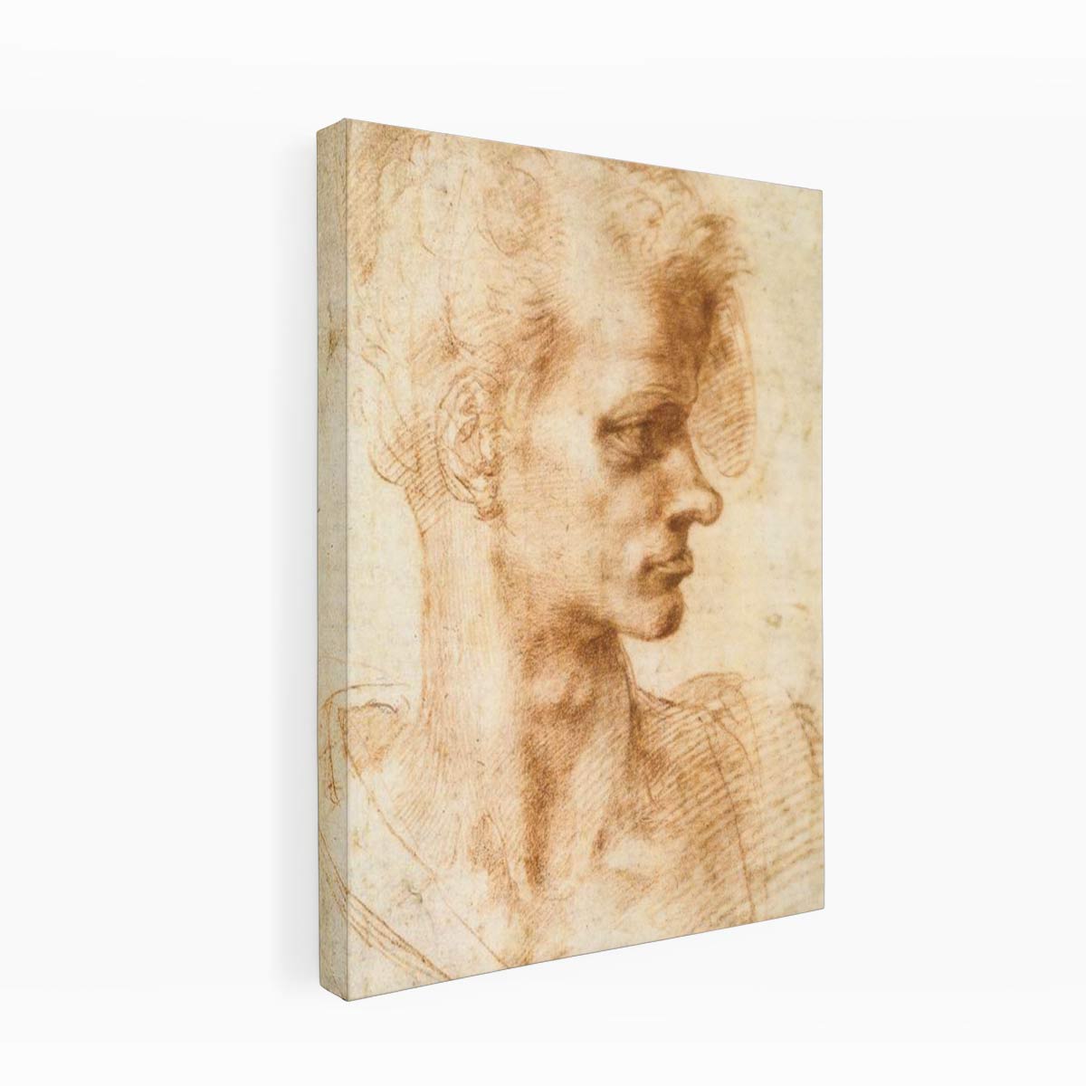 Bust of a Young Man (recto), 1524-25 By Michelangelo Buonarroti