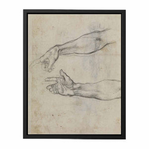 Studies of an outstretched arm for the fresco 'The Drunkenness of Noah' in the Sistine Chapel By Michelangelo Buonarroti