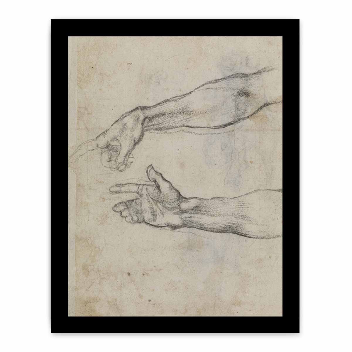 Studies of an outstretched arm for the fresco 'The Drunkenness of Noah' in the Sistine Chapel By Michelangelo Buonarroti