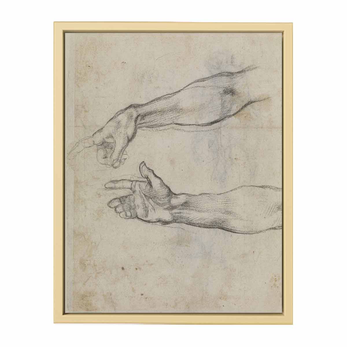 Studies of an outstretched arm for the fresco 'The Drunkenness of Noah' in the Sistine Chapel By Michelangelo Buonarroti