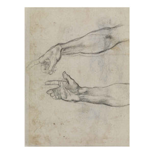 Studies of an outstretched arm for the fresco 'The Drunkenness of Noah' in the Sistine Chapel By Michelangelo Buonarroti
