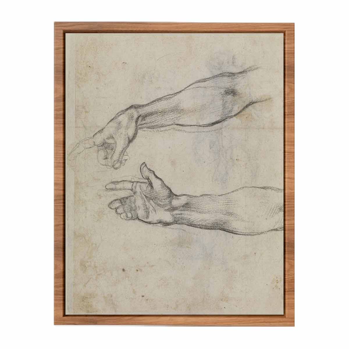Studies of an outstretched arm for the fresco 'The Drunkenness of Noah' in the Sistine Chapel By Michelangelo Buonarroti