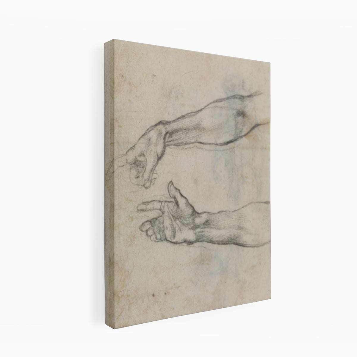 Studies of an outstretched arm for the fresco 'The Drunkenness of Noah' in the Sistine Chapel By Michelangelo Buonarroti