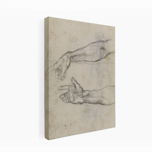 Studies of an outstretched arm for the fresco 'The Drunkenness of Noah' in the Sistine Chapel By Michelangelo Buonarroti