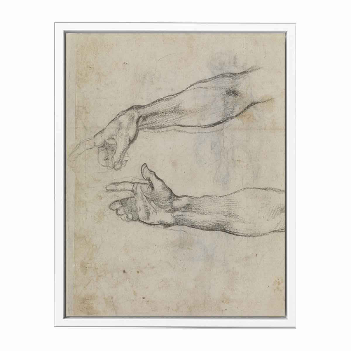 Studies of an outstretched arm for the fresco 'The Drunkenness of Noah' in the Sistine Chapel By Michelangelo Buonarroti