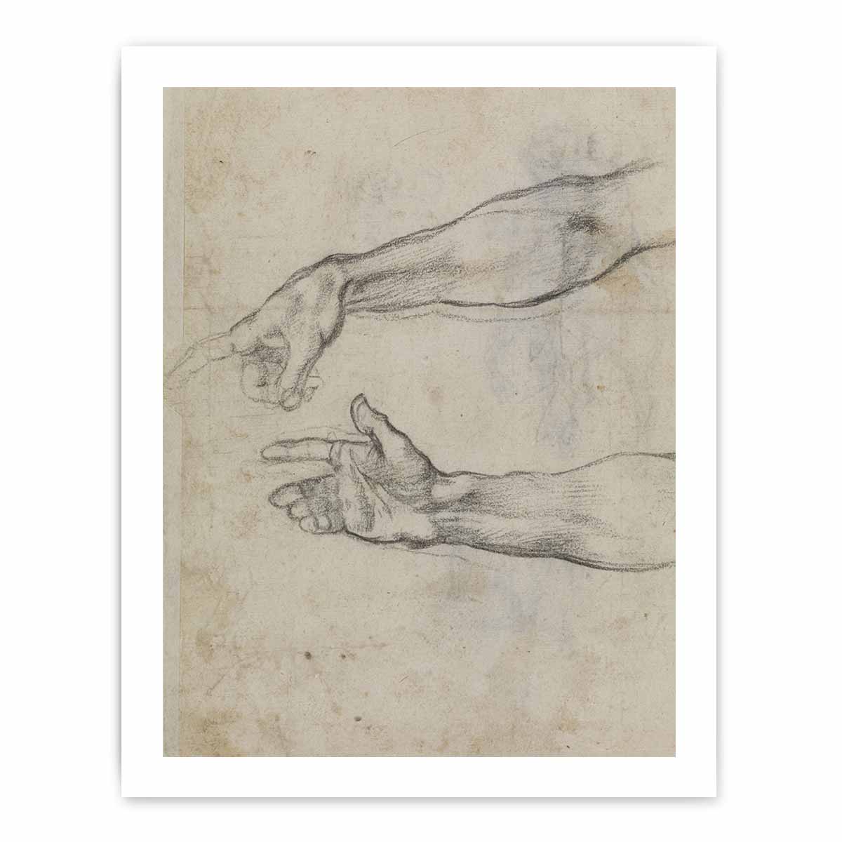 Studies of an outstretched arm for the fresco 'The Drunkenness of Noah' in the Sistine Chapel By Michelangelo Buonarroti