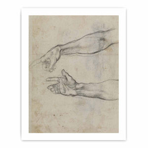 Studies of an outstretched arm for the fresco 'The Drunkenness of Noah' in the Sistine Chapel By Michelangelo Buonarroti