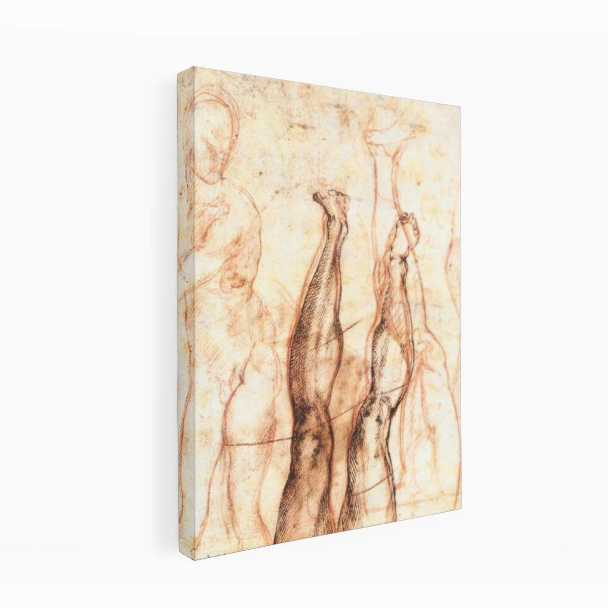 Studies for The Risen Christ (verso), 1518-19 By Michelangelo Buonarroti