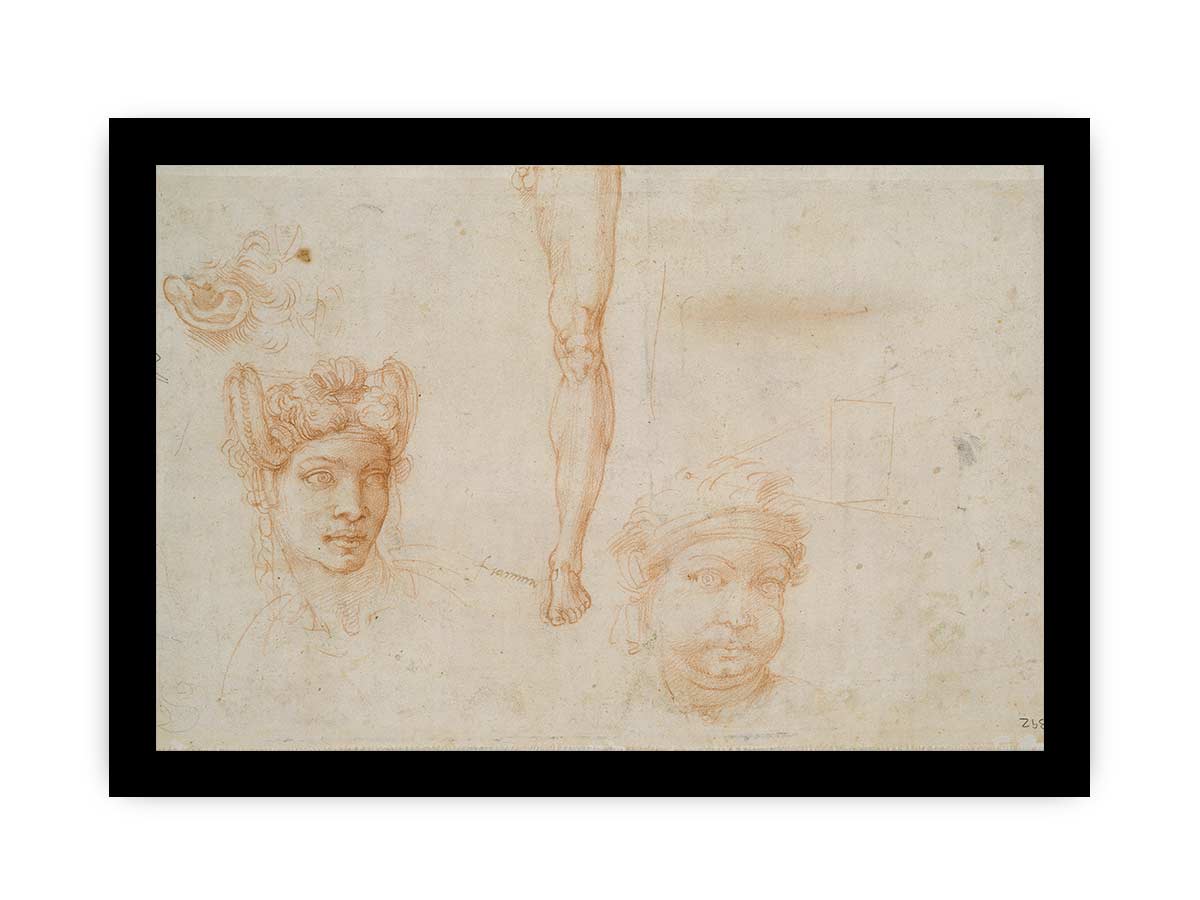 Studies of Heads, an Ear, and a Leg (verso) By Michelangelo Buonarroti
