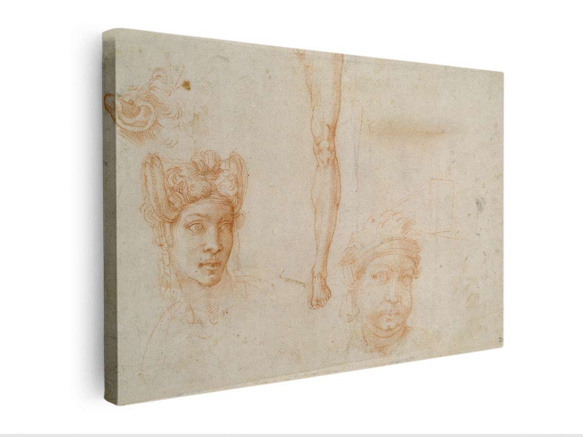 Studies of Heads, an Ear, and a Leg (verso) By Michelangelo Buonarroti