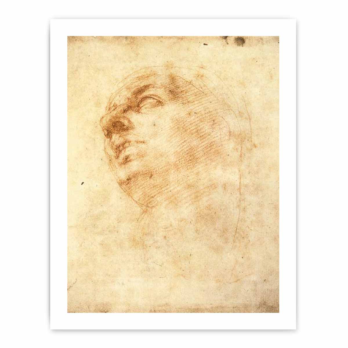 Study of a Head Looking Upward (recto) By Michelangelo Buonarroti