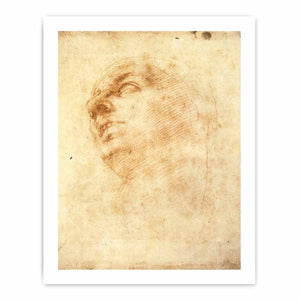 Study of a Head Looking Upward (recto)