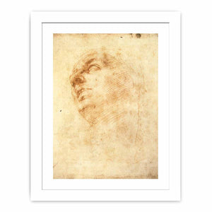Study of a Head Looking Upward (recto)