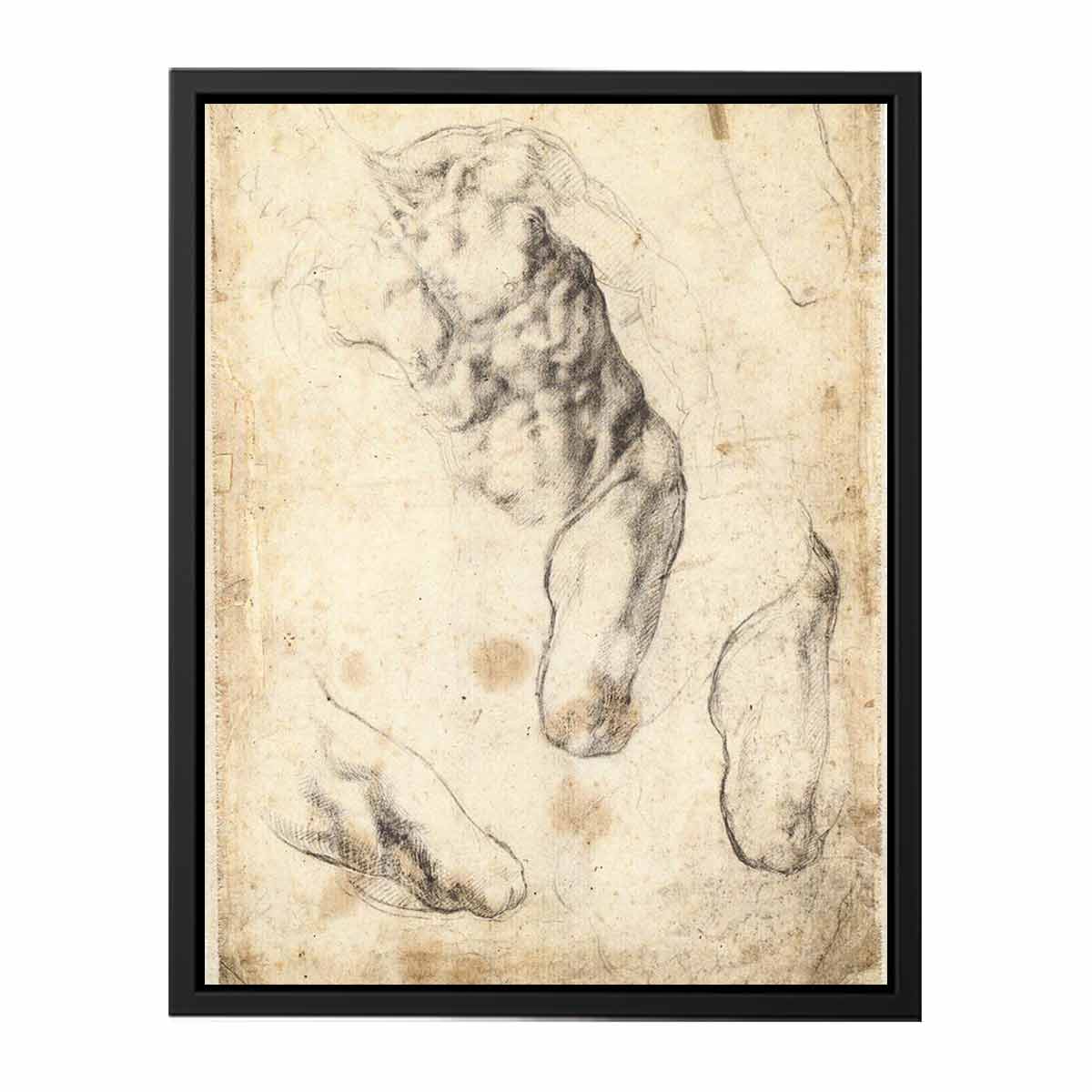 Studies of a Male Torso and Left Leg (verso)