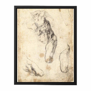Studies of a Male Torso and Left Leg (verso)
