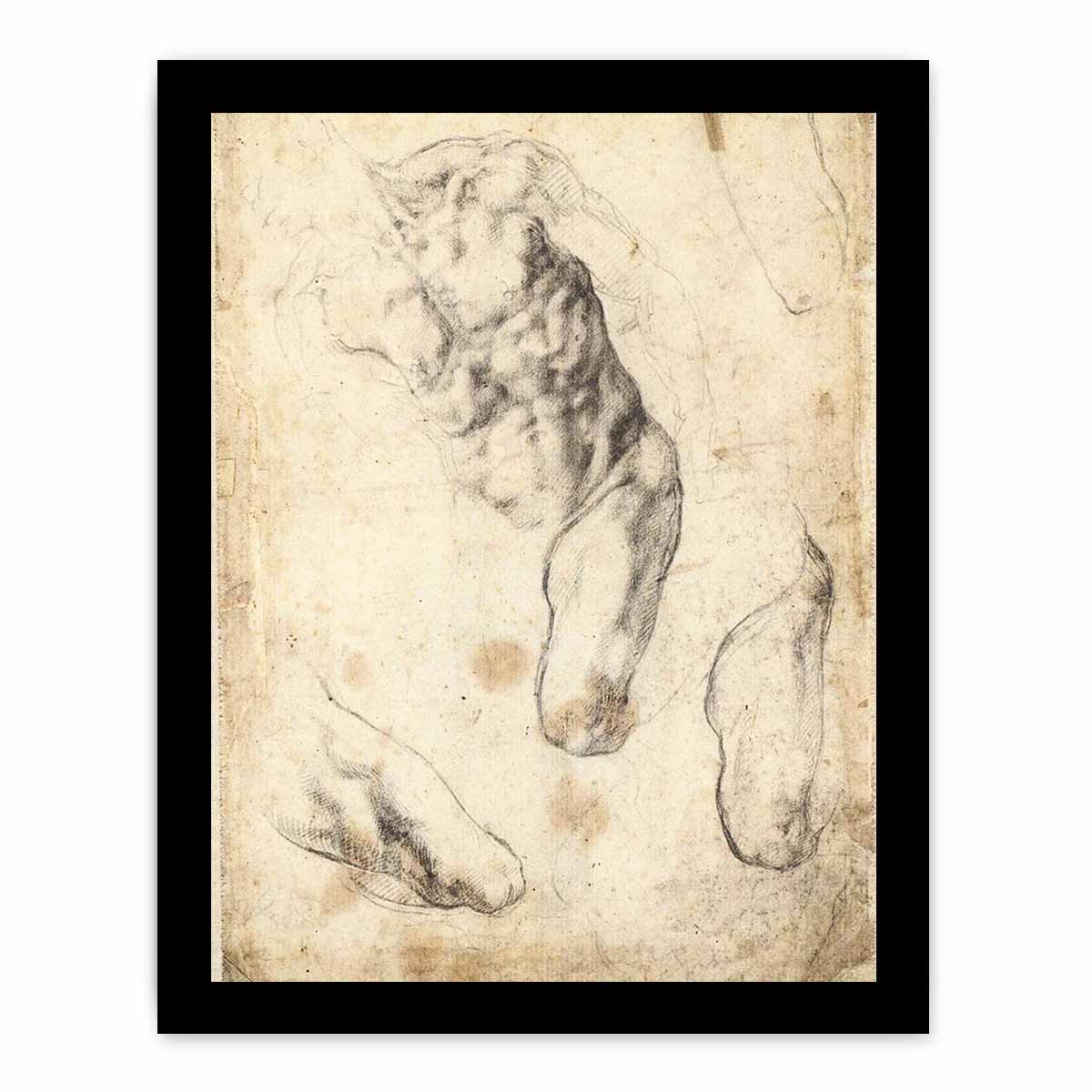 Studies of a Male Torso and Left Leg (verso), 1519-21 By Michelangelo Buonarroti