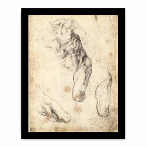 Studies of a Male Torso and Left Leg (verso), 1519-21 By Michelangelo Buonarroti
