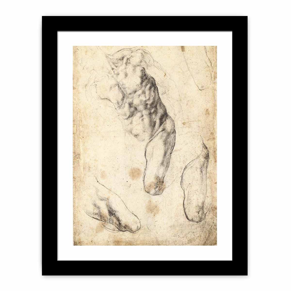 Studies of a Male Torso and Left Leg (verso), 1519-21 By Michelangelo Buonarroti