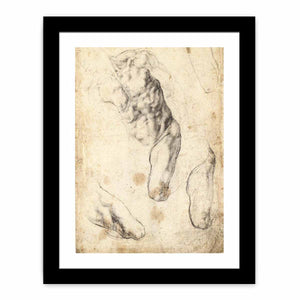 Studies of a Male Torso and Left Leg (verso), 1519-21 By Michelangelo Buonarroti