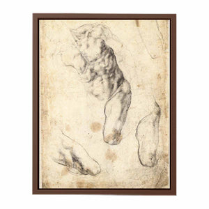 Studies of a Male Torso and Left Leg (verso), 1519-21 By Michelangelo Buonarroti