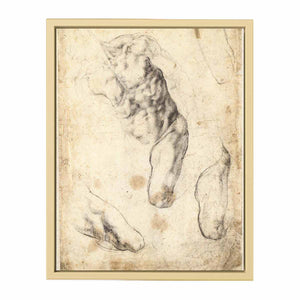 Studies of a Male Torso and Left Leg (verso), 1519-21 By Michelangelo Buonarroti