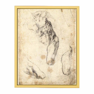 Studies of a Male Torso and Left Leg (verso), 1519-21 By Michelangelo Buonarroti