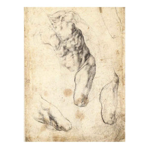 Studies of a Male Torso and Left Leg (verso), 1519-21 By Michelangelo Buonarroti