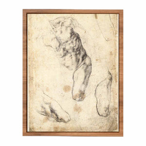 Studies of a Male Torso and Left Leg (verso), 1519-21 By Michelangelo Buonarroti