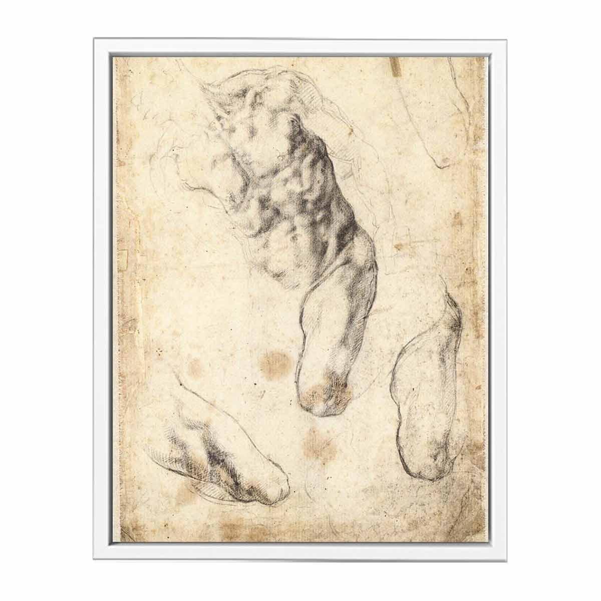 Studies of a Male Torso and Left Leg (verso), 1519-21 By Michelangelo Buonarroti