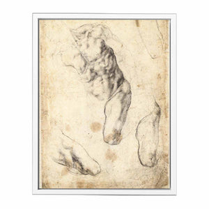 Studies of a Male Torso and Left Leg (verso), 1519-21 By Michelangelo Buonarroti