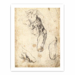 Studies of a Male Torso and Left Leg (verso), 1519-21 By Michelangelo Buonarroti