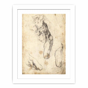 Studies of a Male Torso and Left Leg (verso), 1519-21 By Michelangelo Buonarroti