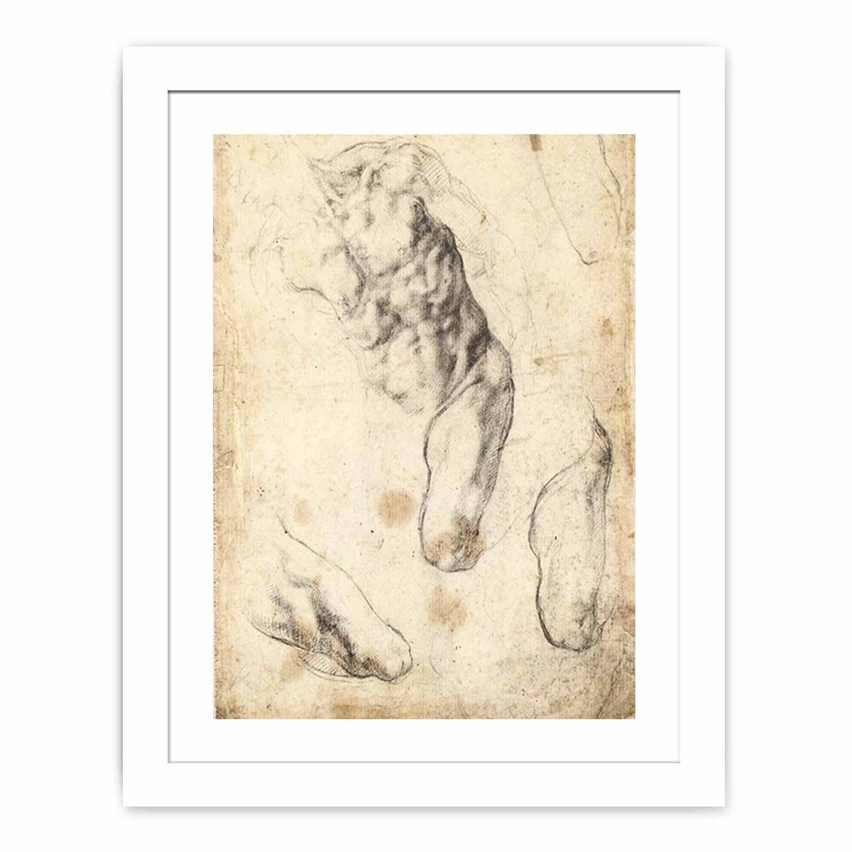 Studies of a Male Torso and Left Leg (verso)