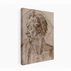 Head of a Satyr
