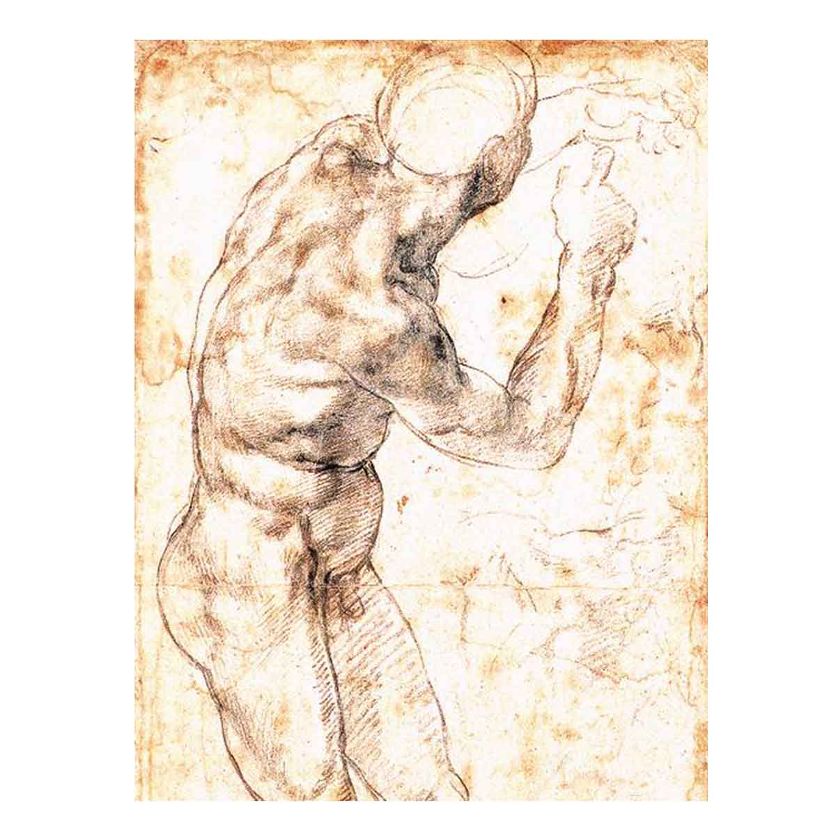 Study to Battle of Cascina