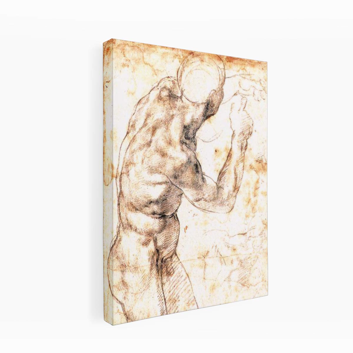 Study to Battle of Cascina By Michelangelo Buonarroti