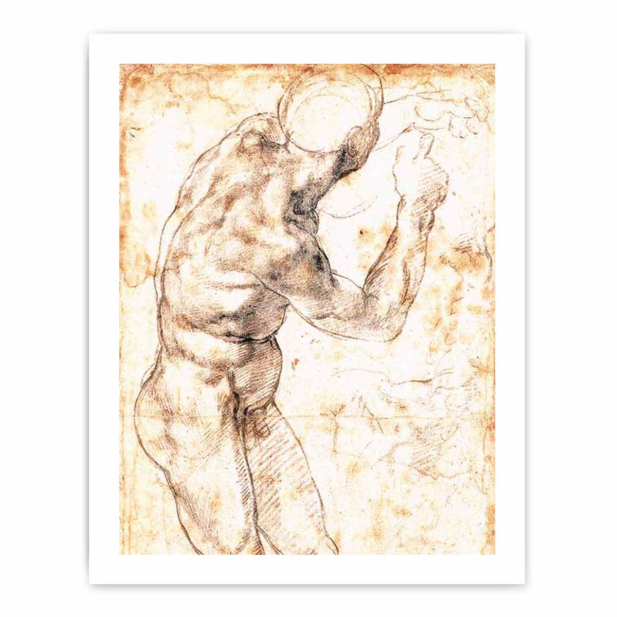Study to Battle of Cascina By Michelangelo Buonarroti