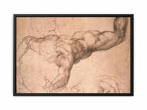 Male Figure By Michelangelo Buonarroti