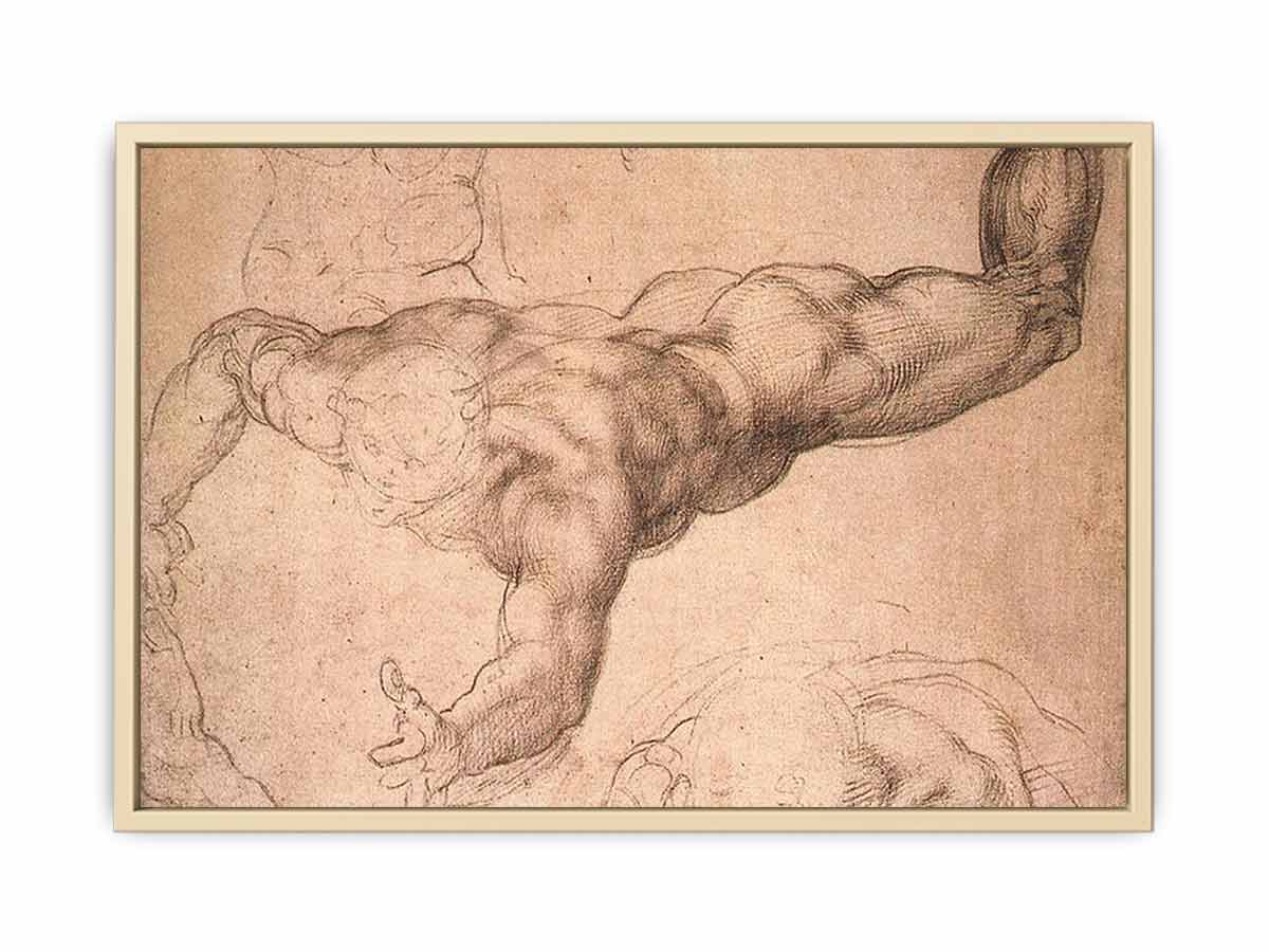 Male Figure By Michelangelo Buonarroti