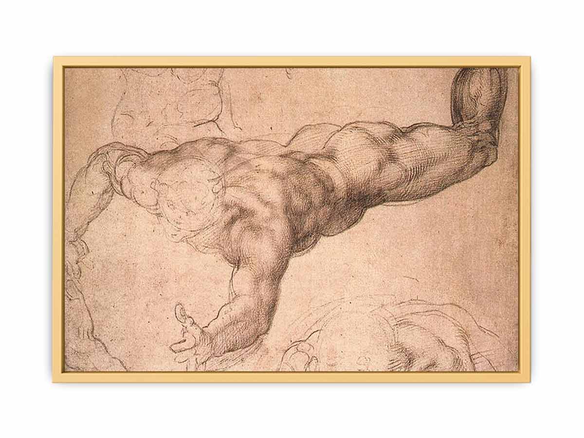 Male Figure By Michelangelo Buonarroti