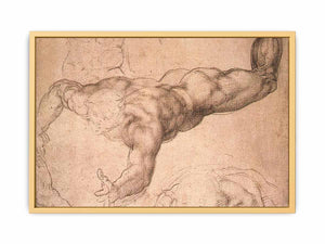 Male Figure By Michelangelo Buonarroti