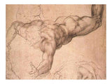 Male Figure By Michelangelo Buonarroti artwork preview