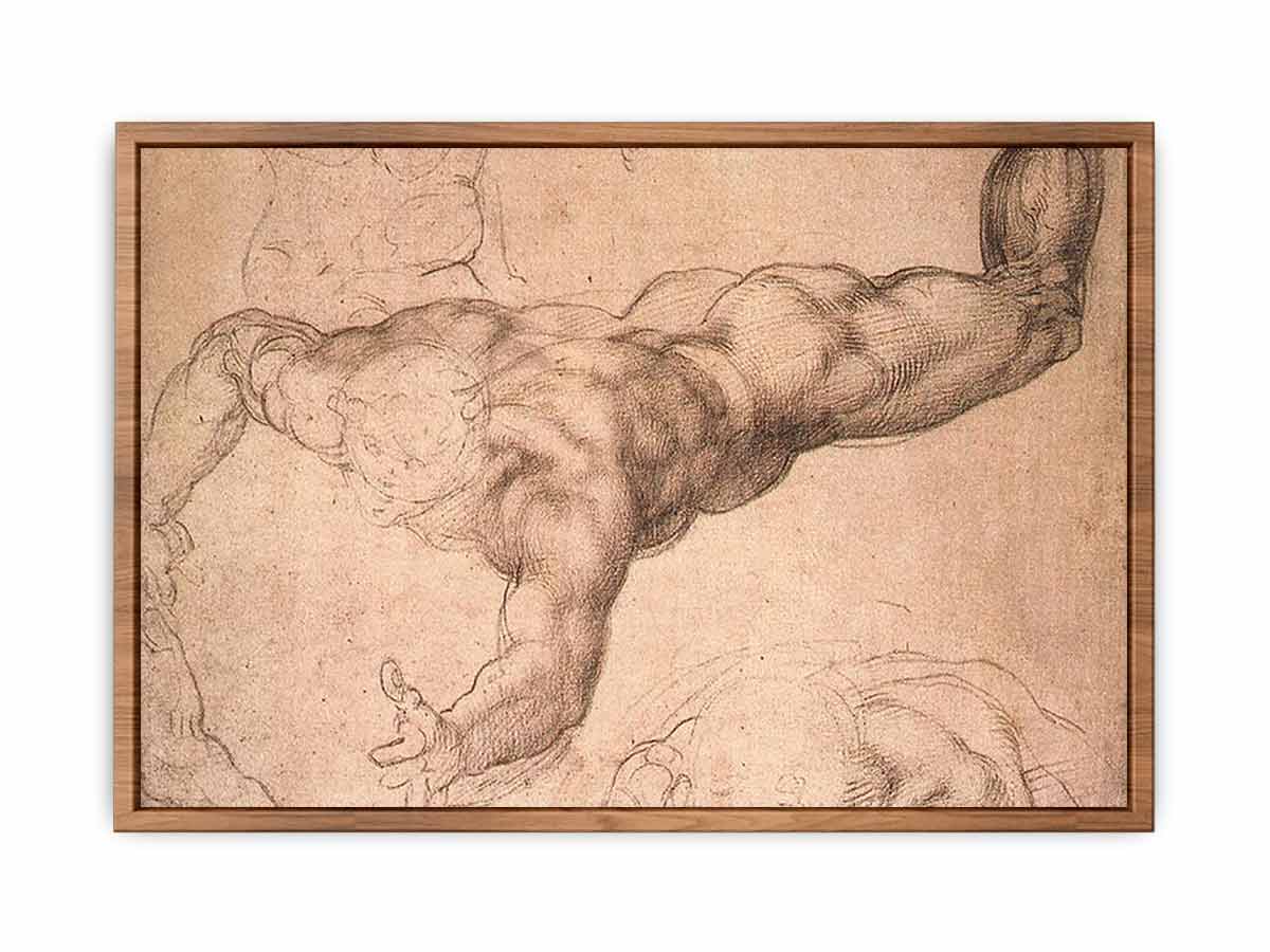 Male Figure By Michelangelo Buonarroti