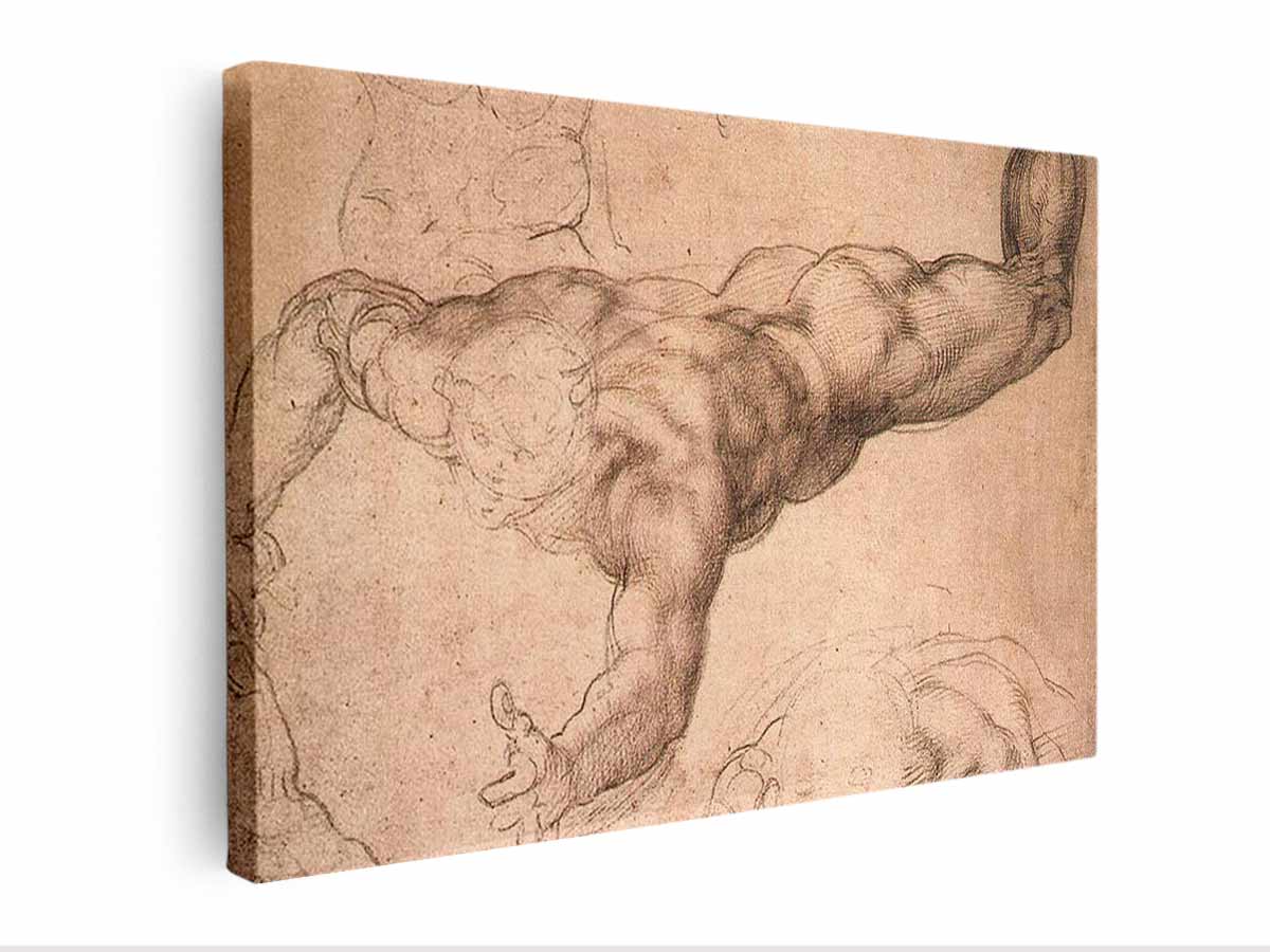 Male Figure By Michelangelo Buonarroti