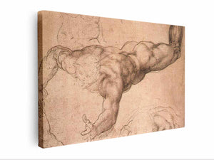 Male Figure By Michelangelo Buonarroti